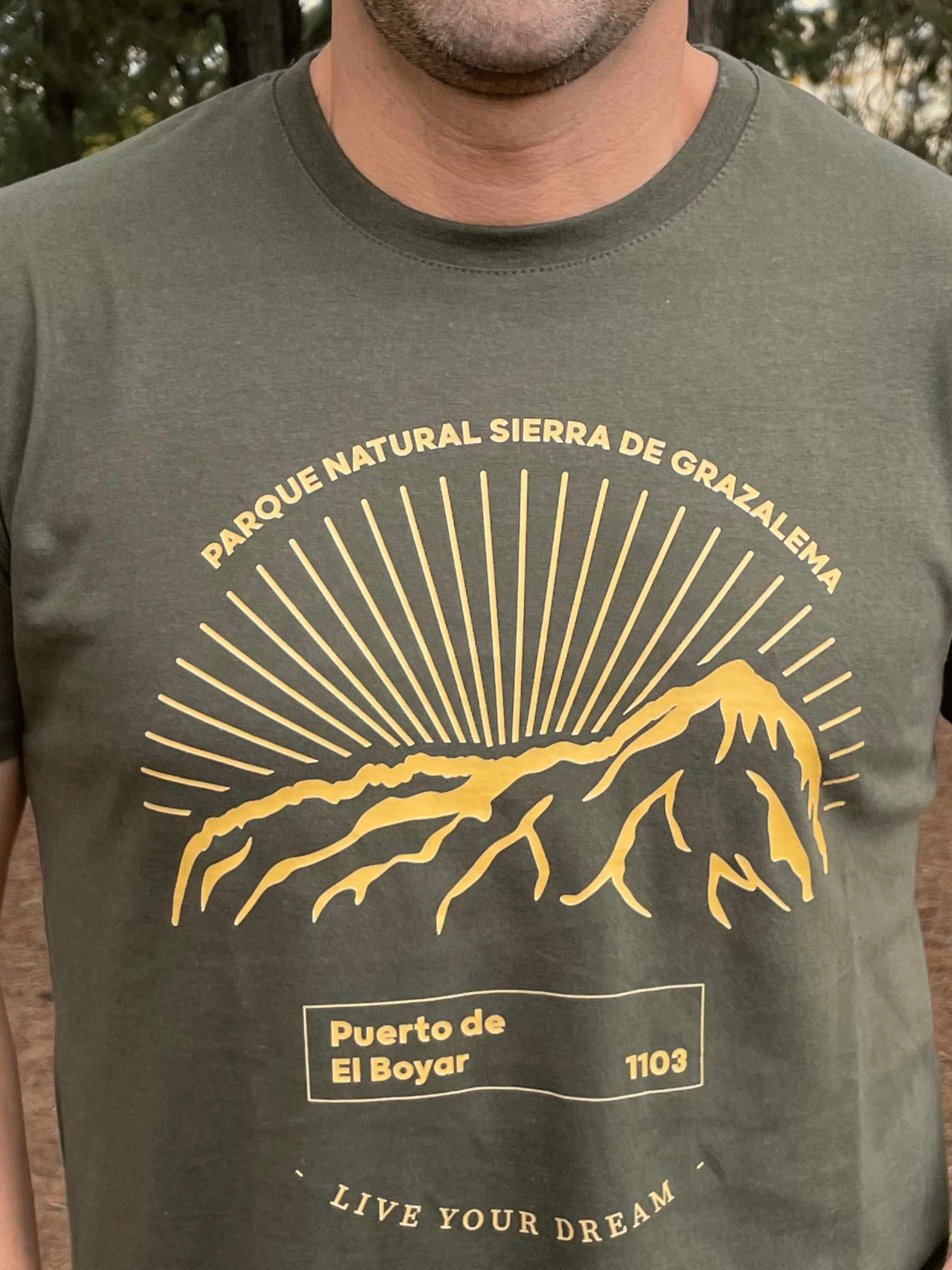LIVE YOUR DREAMS CAMISETA CASUAL "BOYAR" KHAKI - Imagen 4