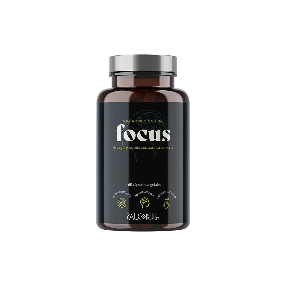 PALEOBULL FOCUS